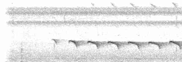 Kısa Kuyruklu Karıncakuşu - ML596511321
