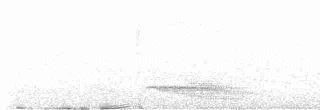 Giant Antshrike - ML596514941