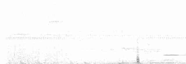 Сичик-горобець крихітний - ML596515611