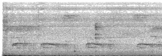 Лінивка-чорнопер білолоба - ML596519651