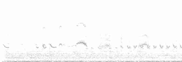 Arctic Tern - ML596533221