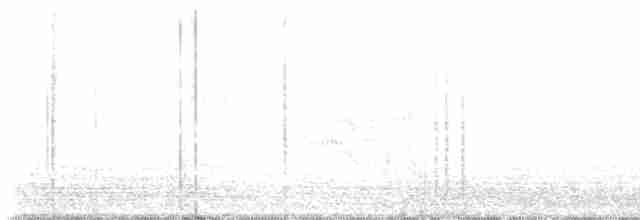 Arctic Tern - ML596534391