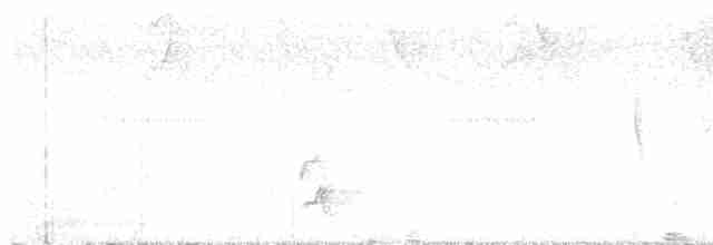 White-throated Woodcreeper - ML596541171