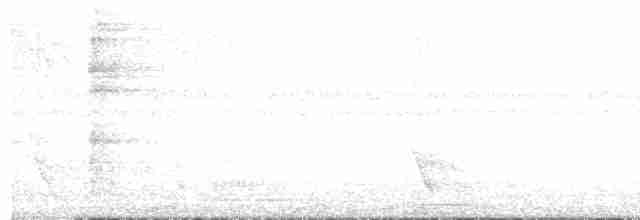 Plush-crested Jay - ML596542641