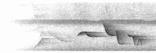 Spot-breasted Wren - ML596553531