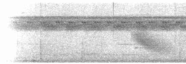 Gray-legged Tinamou - ML596557131