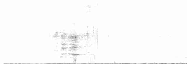 Медолюб-сережник східний - ML596582451