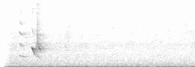 White-cheeked Honeyeater - ML596598211