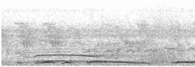 Fork-tailed Drongo-Cuckoo - ML596601701