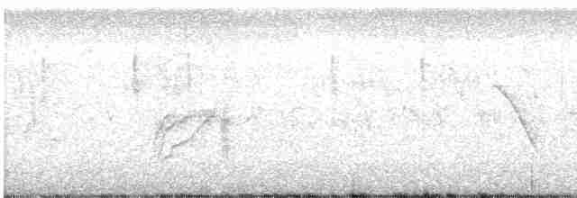 storlarveeter - ML596602161