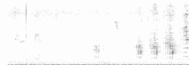 Great Reed Warbler - ML596603231