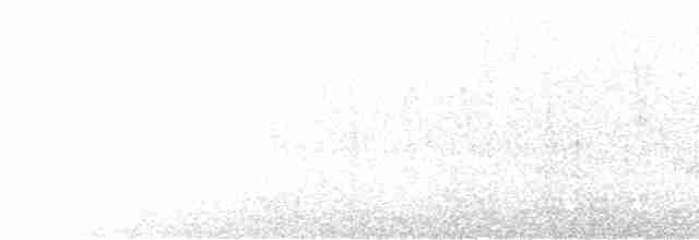 Ширококлювая мухоловка - ML596621261