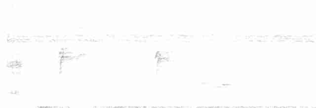 Striped Cuckoo - ML596634071