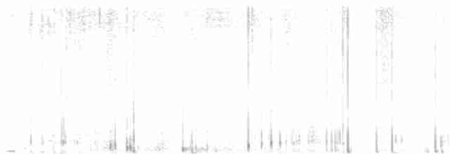 Nacktstirn-Ameisenvogel - ML596642641