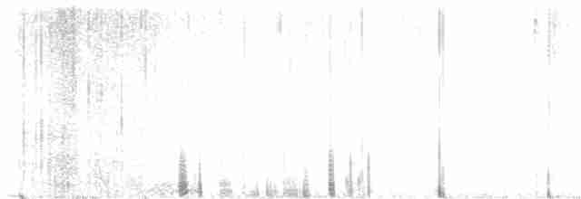 Таязура-клинохвіст велика - ML596645111