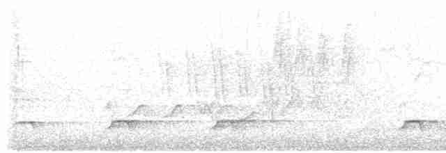 カナダカケス（obscurus／griseus） - ML596656081
