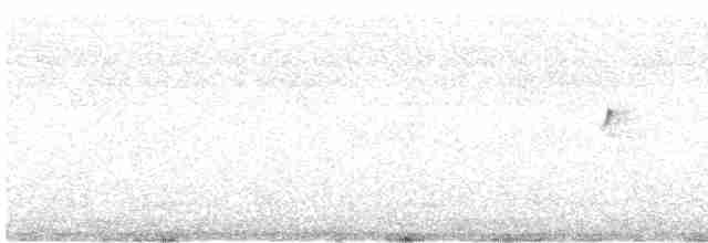 Белокрылая вдовка - ML596696671