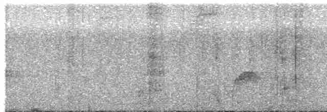 Kestane Göğüslü Çıtkuşu - ML596712111