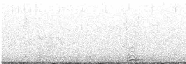 Сова плямиста - ML596713571