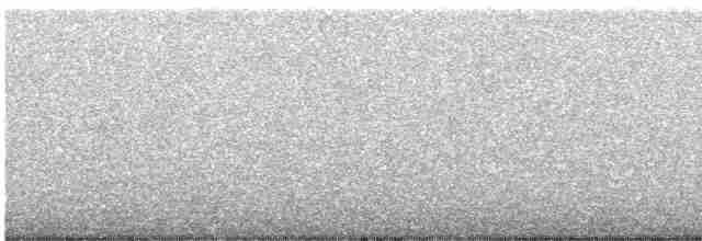 Тасманийский ворон - ML596714021