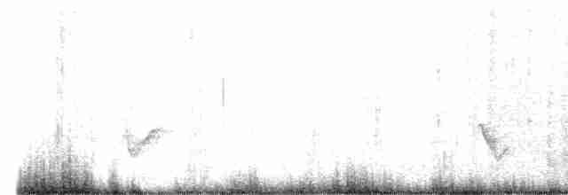 Gray Vireo - ML596717401