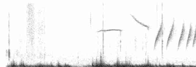 Черногорлая малая овсянка - ML596717491
