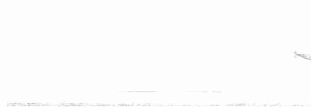 European Greenfinch - ML596762101