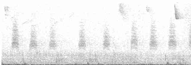 Grass Wren (Paramo) - ML596769121