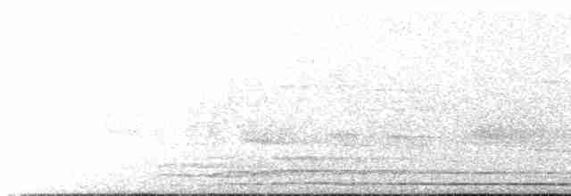 White-necked Hawk - ML596818231
