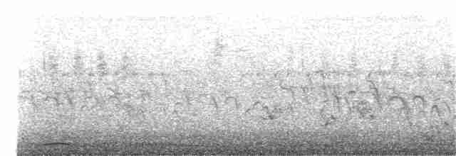 Триперстка смугаста - ML59682321