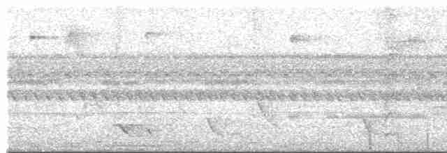 Speckle-breasted Wren - ML596879211