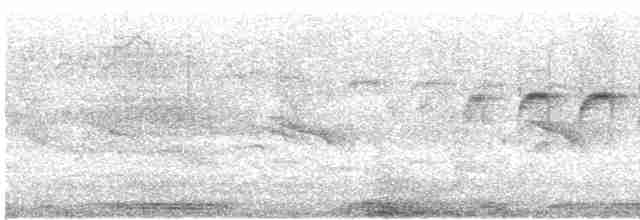 Stripe-crowned Spinetail - ML596879851