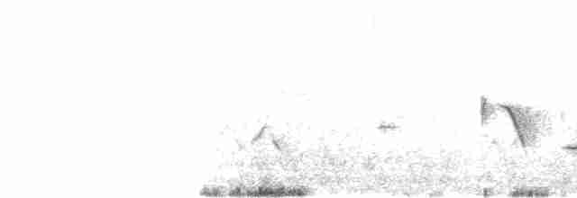 Тауї плямистий x східний - ML596898561