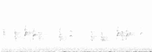 Шишкар ялиновий/ідагоський - ML596912801