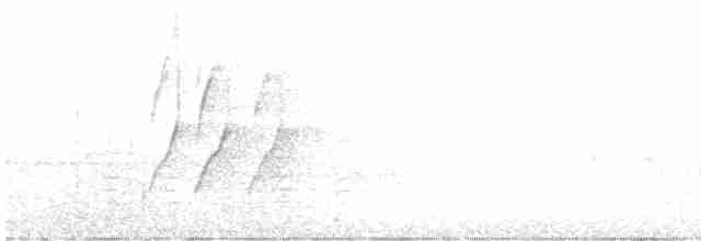 Piquituerto de Cassia - ML596914301
