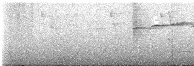 Gray Fantail - ML596933061