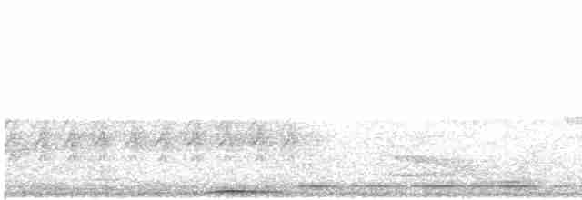 holub černobradý - ML596943901