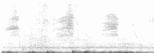 White-tailed Iora - ML596944301