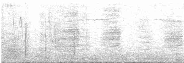 White-tailed Iora - ML596945241