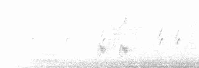 Clamorous Reed Warbler - ML596966091