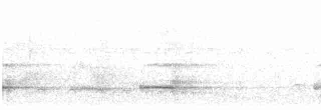 Тукан чорнодзьобий (підвид ariel) - ML596972391