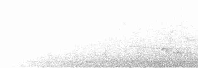 Белохвостая индига - ML596972741