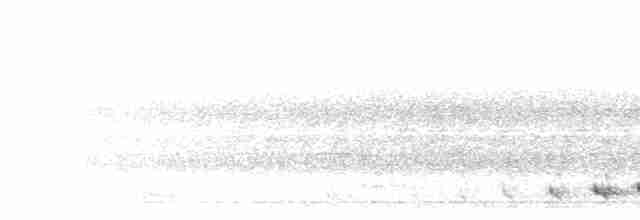 Turuncu Göğüslü Trogon - ML596979111