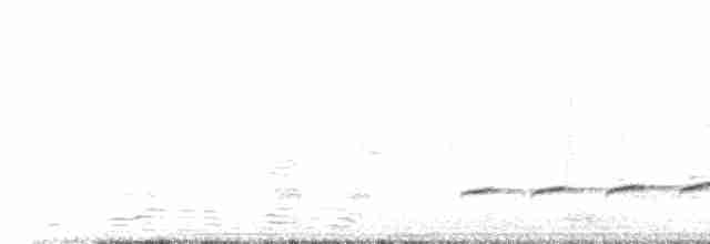Fork-tailed Drongo-Cuckoo - ML596985631