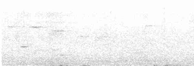 Gray Whistler (Brown) - ML596987741