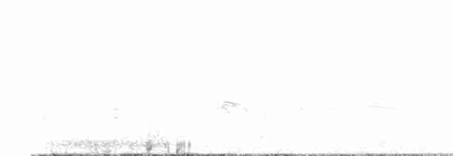 חרמשון קטן (אירופי) - ML597032141