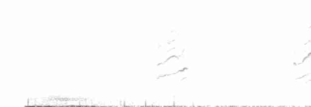 Common Redpoll (rostrata/islandica) - ML597032411