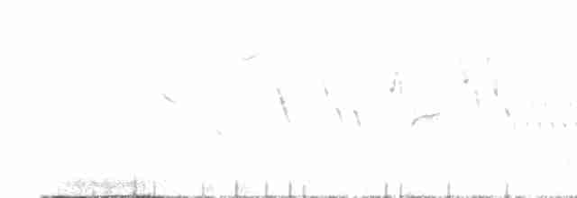 Крапивник (islandicus) - ML597032471