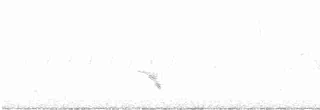 Бурый соловьиный дрозд - ML597049631