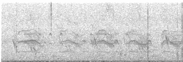Common Tern - ML597072161